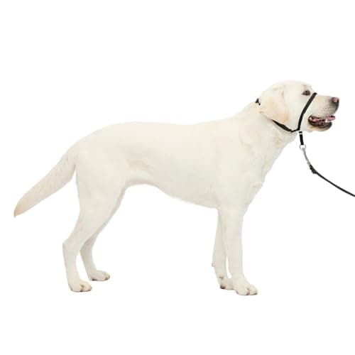PetSafe Gentle Leader Headcollar