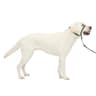 PetSafe Gentle Leader Headcollar