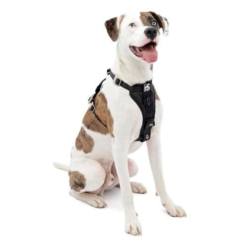 Kurgo Enhanced Strength Tru-Fit Harness