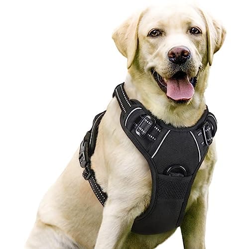 rabbitgoo No-Pull Dog Harness