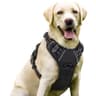rabbitgoo No-Pull Dog Harness