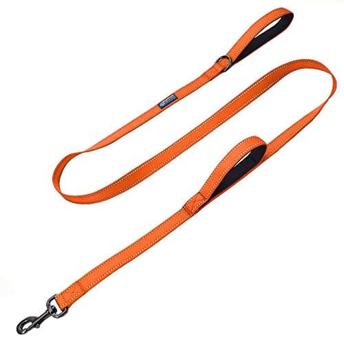 Max and Neo Reflective Double Handle Leash
