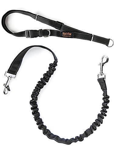 Mighty Paw Hands-Free Bungee Leash