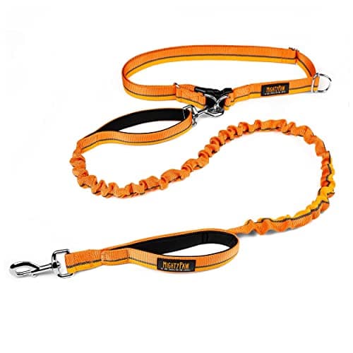 Mighty Paw Hands-Free Bungee Leash