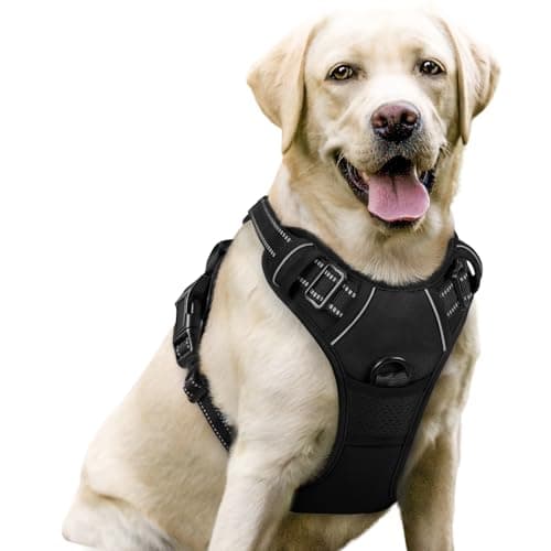 rabbitgoo No-Pull Dog Harness
