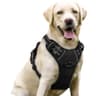 rabbitgoo No-Pull Dog Harness