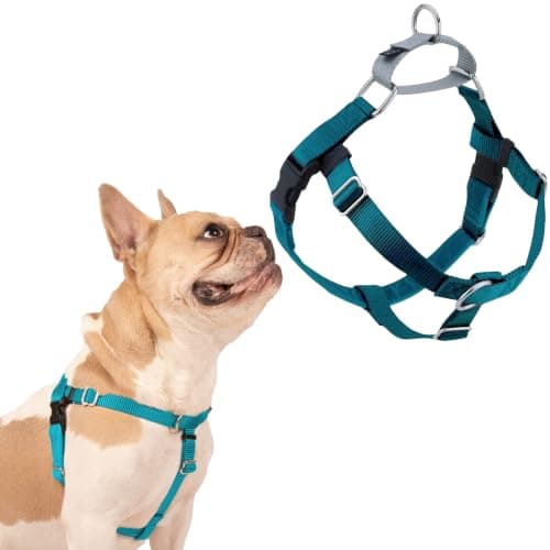 2 Hounds Design Freedom No-Pull Harness