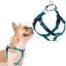 2 Hounds Design Freedom No-Pull Harness