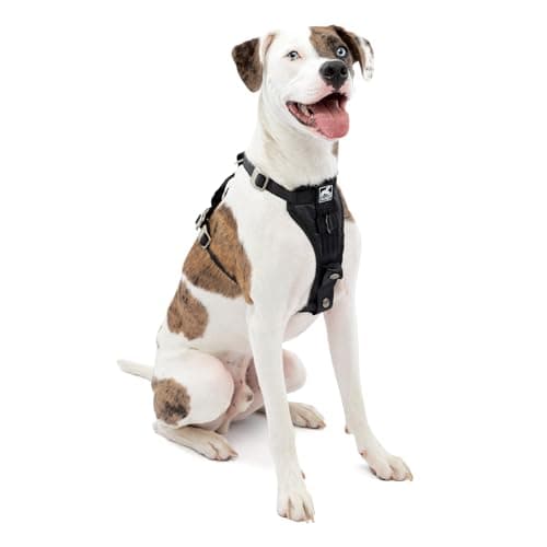 Kurgo Enhanced Strength Tru-Fit Harness