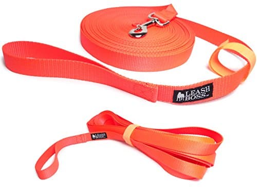 Leashboss Long Trainer (Long Line)
